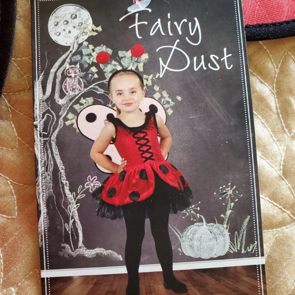 Lady Bug Halloween Outfit